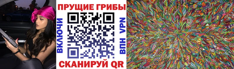 MEGA рабочий сайт Мостовской Галлюциногенные грибы ЛСД наркошоп