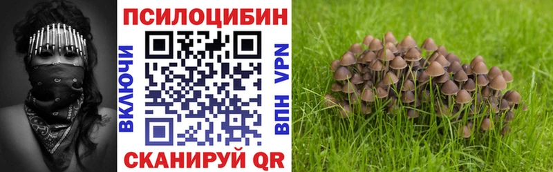 Галлюциногенные грибы Cubensis Мостовской